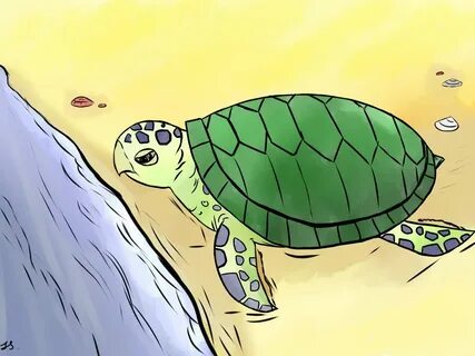 turtle drawing - Album on Imgur