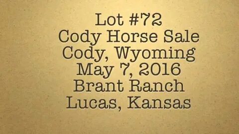 Peptos Hank Hancock, Lot 72, Cody Horse Sale, Cody,Wyoming M