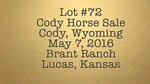 Peptos Hank Hancock, Lot 72, Cody Horse Sale, Cody,Wyoming M