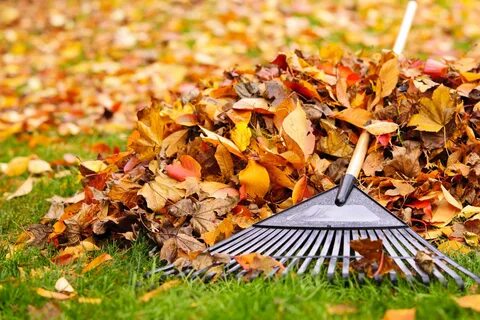 4 Tips for Fall Lawn Care - The Turfgrass Group Inc