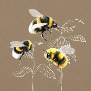 Really cute Bumble Bees - painted with watercolours and Fabe