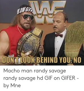 🐣 25+ Best Memes About Macho Man Randy Savage Meme Macho Man