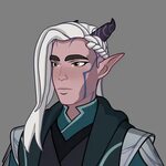Character Reveal: Moonshadow Elf Assassins - The Dragon Prin