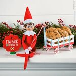 Sweet Scout Elf Welcome The Elf on the Shelf