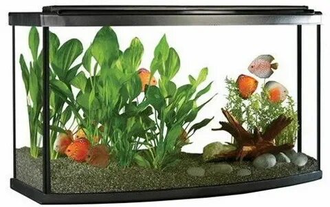 Fluval Premium Bow Front Aquarium Kit w/ LED, 45 Gallon (170