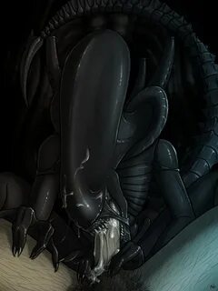 Xenomorph Thread - /aco/ - Adult Cartoons - 4archive.org