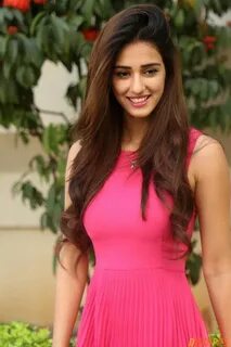 Disha Patani Hot Pics & HD Wallpapers 2017 (26 Images) Bolly