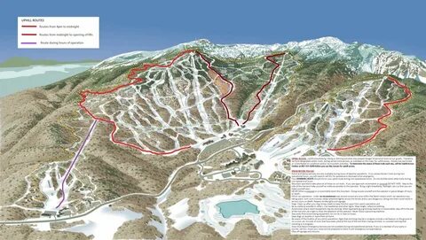 Timberline Ski Resort Trail Map