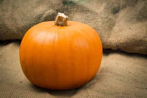 Edit free photo of Pumpkin,halloween,decoration,ripe,wholeÂ p