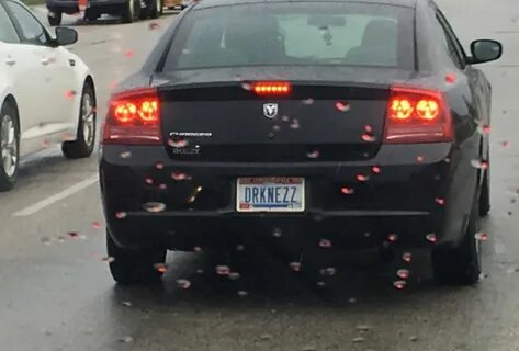 100 Coolest Vanity Plate Ideas Ever picked from photos of co