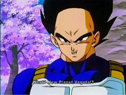 Tristan Cooper on Twitter: "every picture of vegeta is impro