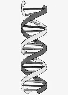 Conspiracy Feeds: Αστρολογία-Βιολογία και Ρατσισμός Dna draw