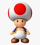 Personajes De Bros Buscar - Mario Bros Wii Blue Toad, HD Png