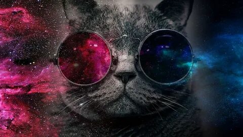 Trippy Cat Wallpaper posted by Ryan Anderson