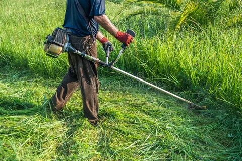 The Gardener Cutting Grass by Lawn Mower Stock Photo - Image
