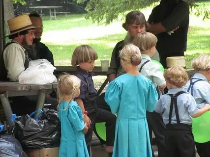 Пин на доске Amish and other groups