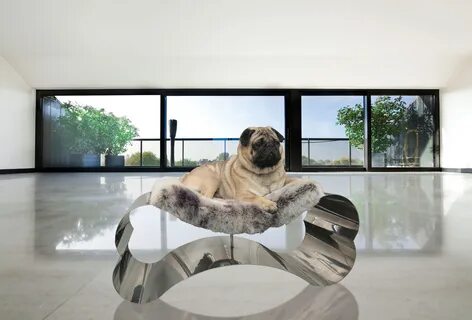 Luxury dog beds - LUXUO