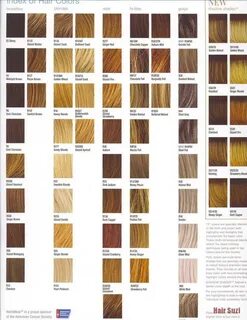 Shades Of Blonde Hair Color Chart : Hairallstyles Trendy All