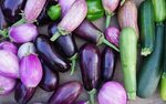Eggplant Wallpapers - 4k, HD Eggplant Backgrounds on Wallpap