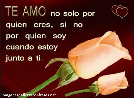 Pin en IMAGENES DE FLORES CON FRASES