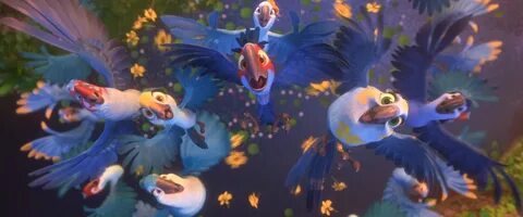 Rio 2 - Yellow Flower Images, Pictures, Photos, Icons and Wa