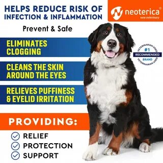 Dog Eye Discharge Treatment