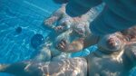 Voyeur Zona: Underwater voyeur in sauna pool 7