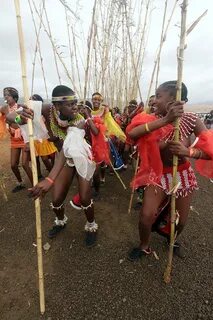 south africa - zulu reed dance ceremony Zulu Reed Dance Ce. 