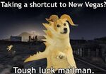 Funny yellow dog Dank Memes Amino