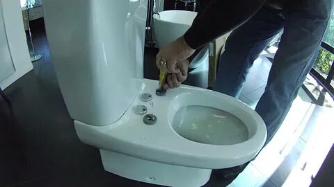 Taking off and adjusting a cygnet toilet seat - YouTube