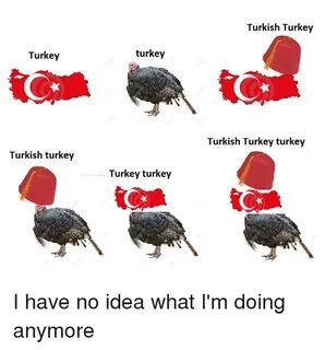 Turkey Turkish Turkey Turkey Turkey Turkey Turkish Turkey Tu