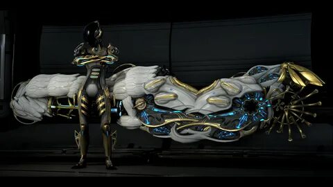 10000 best r/Warframe images on Pholder I have done it. I ca