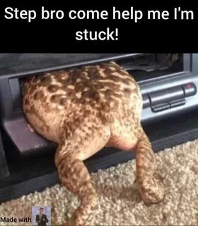 Step Bro Come Help Me I'm Stuck Made With Memes Memes Funviz