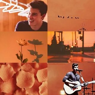 Orange Shawn Mendes aesthetic Shawn mendes photoshoot, Shawn