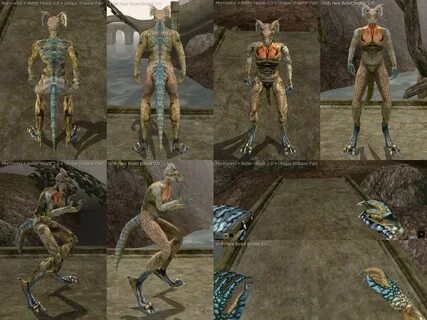 Новые тела зверорас - Elder Scrolls 3: Morrowind
