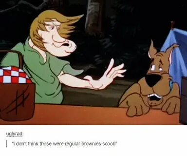 Pin by Ray on Funny Funny pictures, Scooby doo memes, Memes