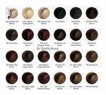 Image result for ion color brilliance color chart Ion hair c