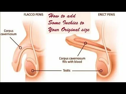 How to increase penis size naturally - YouTube