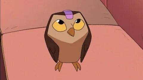 Hoo Hoo в Твиттере: "The owl so adorable https://t.co/qTq1GY