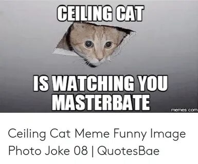✅ 25+ Best Memes About Ceiling Cat Is Watching You Meme Ceil