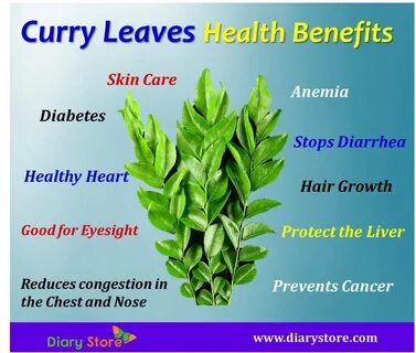 Curry Leaves Health Benefits Nutritional Facts Rutaceae Fami