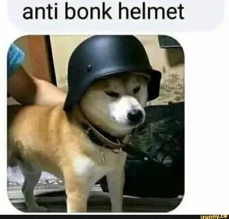 Anti bonk helmet - ) Helmet, Memes, Dogs