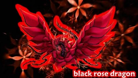 black rose dragon background Y.T.C
