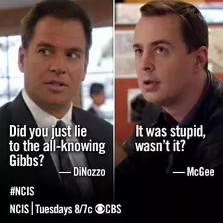 Pin by Penelope Bady on So Funny Ncis, Ncis funny, Ncis cast