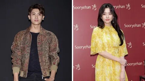 TikTok debunked: Are Park Hyung Sik and Han Hyo Joo dating?