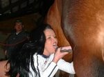 German And Horse Sex Sex Pictures Pass