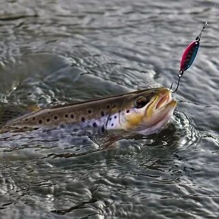 Форелевые блесны DAM EFFZETT AREA-PRO TROUT SPOONS