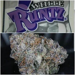 Runtz Strain : 🎩 New RUNTZ Strain BUDDAH'S HAND - YouTube : 