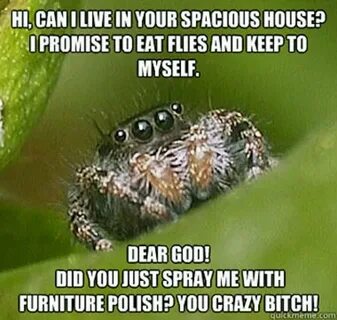 Spider Spider meme, Bones funny, Funny