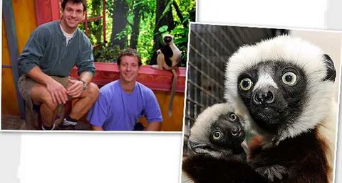 Jovian, el Lemur de Zoboomafoo murió